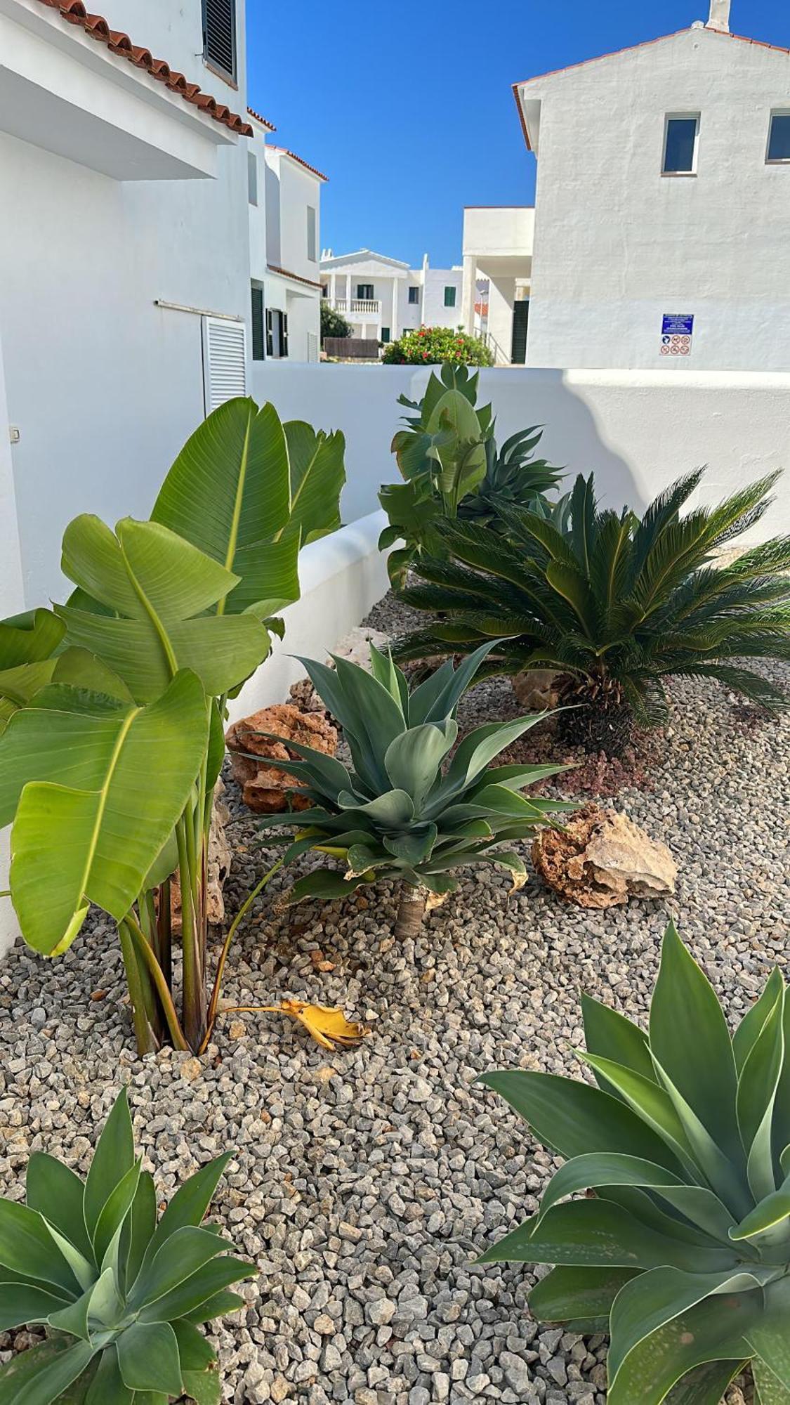 אס מרקדל Villa Pinuelo מראה חיצוני תמונה
